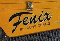 Fenix Telecaster E-Gitarre [December 13, 2023, 7:54 pm]