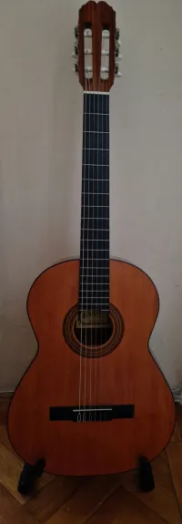 Alvaro No30 Guitarra clásica [January 23, 2024, 8:48 pm]