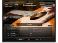 Native Instruments Session Guitarist - Strummed Acoustic Software [January 2, 2024, 5:14 pm]