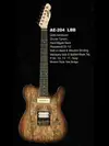 AcePro 2316 AE-204 LBB Elektrická gitara [June 20, 2012, 3:13 pm]