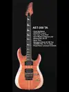 AcePro 2314 AET-350 TA Elektrická gitara [June 20, 2012, 3:13 pm]