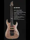 AcePro 2324 AE-309 NA Elektromos gitár [2012.06.20. 15:13]
