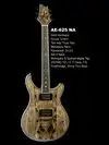 AcePro 2323 AE-625 NA Electric guitar [June 20, 2012, 3:13 pm]