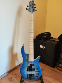 MLP PM5 Bass guitar [January 6, 2024, 2:51 pm]