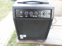 Polytone Baby Brute Taurus Guitar combo amp [March 4, 2024, 9:57 am]