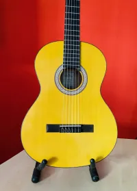 Walden WAO450W Acoustic guitar [March 8, 2024, 2:03 pm]