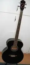 Jack and Danny Brothers ABG1 Fretless Acoustic bass guitar [April 12, 2012, 1:25 pm]