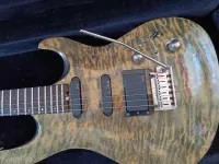 Cort G-290 Custom Elektrická gitara [April 28, 2024, 2:55 pm]