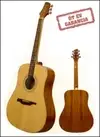 Guvnor GA500 Akustická gitara [April 16, 2012, 4:28 pm]