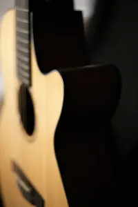 Cort CEC3 NS Acoustic guitar [Day before yesterday, 1:04 pm]