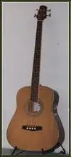 Steiner Acoustic Bass 4 strings Acoustic bass guitar [June 20, 2012, 3:13 pm]
