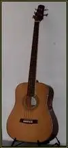Steiner Acoustic Bass 5 strings Acoustic bass guitar [June 20, 2012, 3:13 pm]
