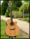 Marris SJ-1S CE Electro-acoustic guitar [May 13, 2012, 10:53 pm]