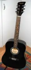 Santander 1129 Western készlet Acoustic guitar [May 17, 2012, 12:30 pm]