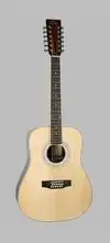 Redhill DG-2-12 Acoustic guitar 12 strings [June 29, 2012, 4:14 pm]