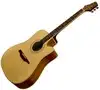 Guvnor GA-500 - CSERE IS Electro-acoustic guitar [July 3, 2012, 10:38 am]