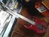Hamer Calofornian Electric guitar [January 9, 2011, 10:53 am]