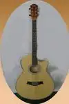 Uniwell CD-02-N Acoustic guitar [July 26, 2012, 11:59 am]