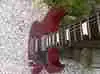 Keytone Sg Electric guitar set [August 7, 2012, 1:34 pm]