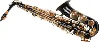 Karl Glaser 1463 Alt Saxophone [March 23, 2022, 6:26 pm]