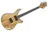 AcePro 2323 AE-625 NA Electric guitar [October 19, 2012, 1:22 pm]