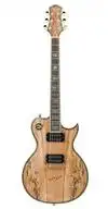 AcePro 2311 AE-604 NA Electric guitar [October 19, 2012, 1:27 pm]