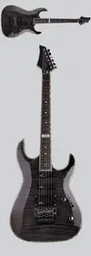 AcePro 2322 AE-308 TBK Electric guitar [October 19, 2012, 1:33 pm]