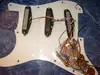 Flash Stratocaster Sada snímačov [December 5, 2012, 7:19 pm]