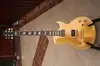 Custom made Les Paul Electric guitar [December 10, 2012, 2:24 am]