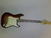 The Animal Strat E-Gitarre [December 16, 2012, 5:57 pm]