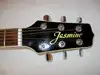 Takamine Jasmine TS.91.C Elektro-Akkustik Guitarre [January 7, 2013, 10:57 am]
