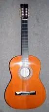 Lucida  Acoustic guitar [January 7, 2013, 5:58 pm]