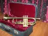 Parrot B trombita Trumpet [January 25, 2013, 3:57 pm]