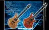 Vorson V-9010 Guitarra eléctrica [January 30, 2013, 12:57 pm]