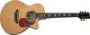 Santander 1110 WS100 Electro-acoustic guitar [February 28, 2015, 4:54 pm]