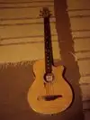 Guvnor GAB555-CE Electro Acoustic Bass [February 1, 2013, 9:37 pm]