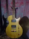 Vorson Les Paul Electric guitar [February 5, 2013, 1:16 pm]