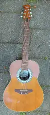 Melody RONDO Electro-acoustic guitar [February 7, 2013, 6:34 pm]