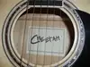 Cheetah Slim Jumbo Electro-acoustic guitar [February 9, 2013, 10:38 am]