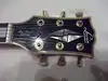 Levin Les Paul Electric guitar [February 12, 2013, 6:43 pm]