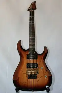 AcePro AE-351 Elektrická gitara [August 31, 2020, 12:54 pm]