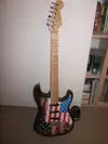 Uniwell Stratocaster Electric guitar [February 27, 2013, 3:57 pm]