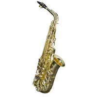 Monzani MZAS-133   Alt Saxophone [June 13, 2018, 11:32 am]