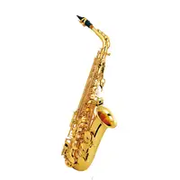 Monzani MZAS-270   Alt Saxophone [June 13, 2018, 12:28 pm]