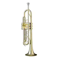 Monzani MZTR-133 Bb Trumpet [January 24, 2024, 2:20 pm]