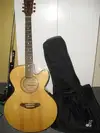 Marris  Electro-acoustic guitar [March 18, 2013, 1:47 pm]