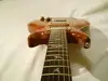Custom made Mr Smith Elektrická gitara [May 2, 2013, 4:02 pm]