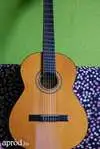 Alvaro No.30 Acoustic guitar [June 16, 2013, 12:07 pm]
