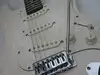 Levin Stratocaster Electric guitar [July 26, 2013, 2:27 pm]
