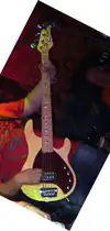 OLP Tony Levin 5-Saiter Bass-Gitarre [March 19, 2011, 11:31 am]